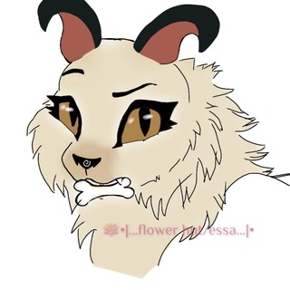 Telegram profile photo for 🪷•|…flower hut/essa…|•🪷