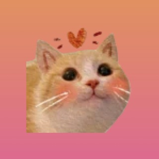 Telegram profile photo for richeevna переходник
