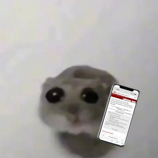 Telegram profile photo for хлебобуловна
