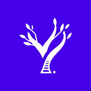 Telegram profile photo for YeaHub
