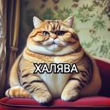 Telegram profile photo for Халява