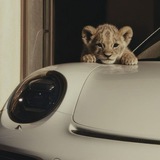 Telegram profile photo for لوعَة.