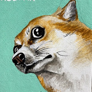 Telegram profile photo for Пёсья Лавка