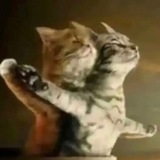 Telegram profile photo for ааааа