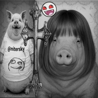 Telegram profile photo for Tgk - Nitersky