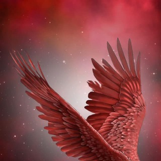 Telegram profile photo for .: هیچستان :.