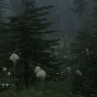 Telegram profile photo for Переходник фьюрез кф