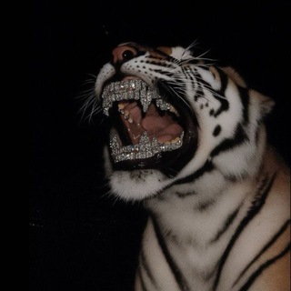 Telegram profile photo for ๐..Sulemaan Badshah..โข