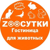 Telegram profile photo for ZooSutki