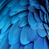 Telegram profile photo for Такая фактура