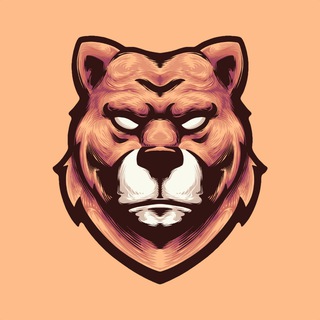 Telegram profile photo for Binolla Trading Free Signals
