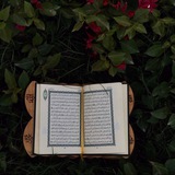Telegram profile photo for مقاطع قرآن