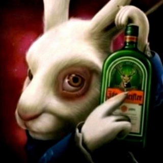 Telegram profile photo for Дневник лысого алкаша