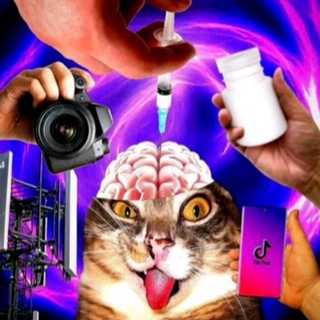 Telegram profile photo for СПИДРАН