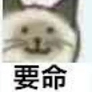 Telegram profile photo for 边缘@订阅转换API