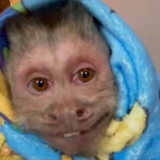 Telegram profile photo for lllllll