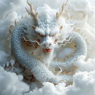 Telegram profile photo for 信誉第一 (实力就是信誉)