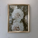 Telegram profile photo for Jeong Eui