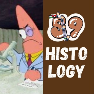 Telegram profile photo for βHistology || πππ ππ¨πππ¨π«π¬ 59