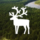 Telegram profile photo for Администрация Белоярского района (Югра)