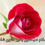 Telegram profile photo for کانال مرتضی سلطانی