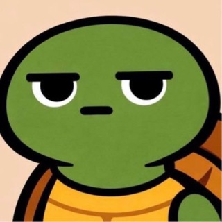 Telegram profile photo for TheMister Turtle🐢