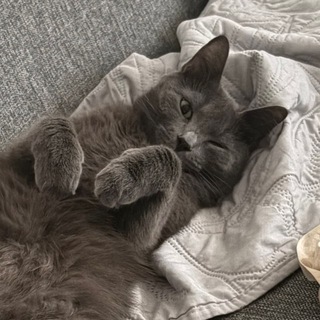 Telegram profile photo for Бредни Кати