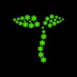 Telegram profile photo for Seed & Keys