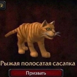 Telegram profile photo for Бака (который baaakich?)