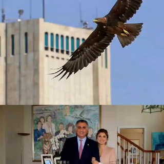 Telegram profile photo for اندیشه پهلویسم