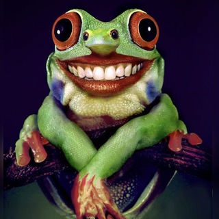Telegram profile photo for Жабно-лягушный кф🐸