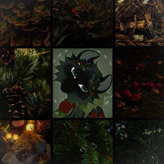 Telegram profile photo for 🌲𝑺𝒕𝒖𝒅𝒊𝒐 𝑪𝒐𝒏𝒆𝒔🌲