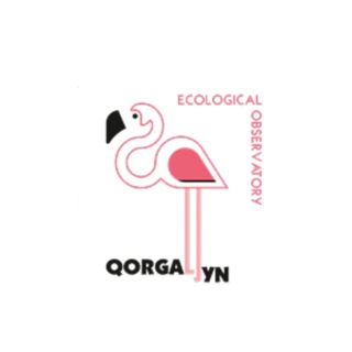 Telegram profile photo for 🦢Q-Star