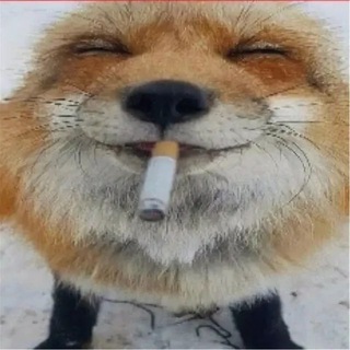 Telegram profile photo for увидимся же?