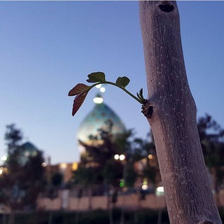 Telegram profile photo for Tayyibe Hayat