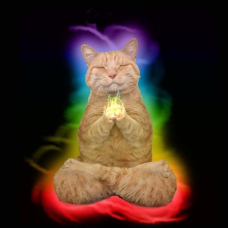 Telegram profile photo for $CHI