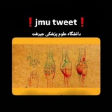 Telegram profile photo for jmu tweet