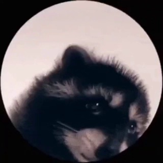 Telegram profile photo for ID Keeper