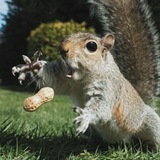 Telegram profile photo for ᵍᵃˡᵃᶜᵗⁱᶜ 𝐶ℎ𝑎𝑙𝑙𝑒𝑛𝑔𝑒𝑠