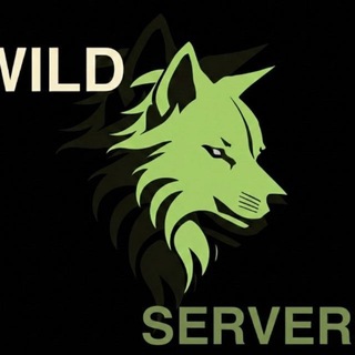 Telegram profile photo for Wildservers.ru