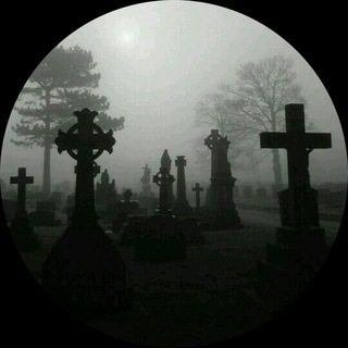 Telegram profile photo for angelcurse
