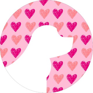 Telegram profile photo for GROOM в Прокшино