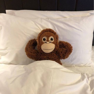 Telegram profile photo for айсди