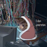 Telegram profile photo for Фазанья