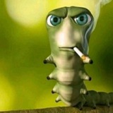 Telegram profile photo for траходон 2028