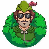 Telegram profile photo for Слив VIP каналов трейдеров бесплатно