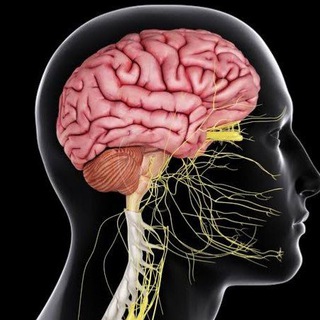 Telegram profile photo for Center Nervous System | Medcology