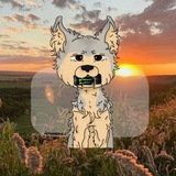 Telegram profile photo for йорк на рейве🫧