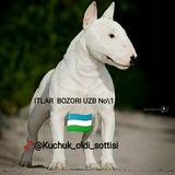 Telegram profile photo for E'LON BERISH ITLAR BOZORI No:1 🇺🇿