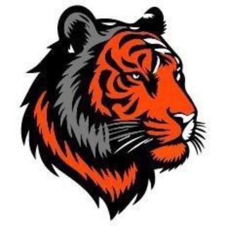 Telegram profile photo for GSM TIGER A12+ Channel